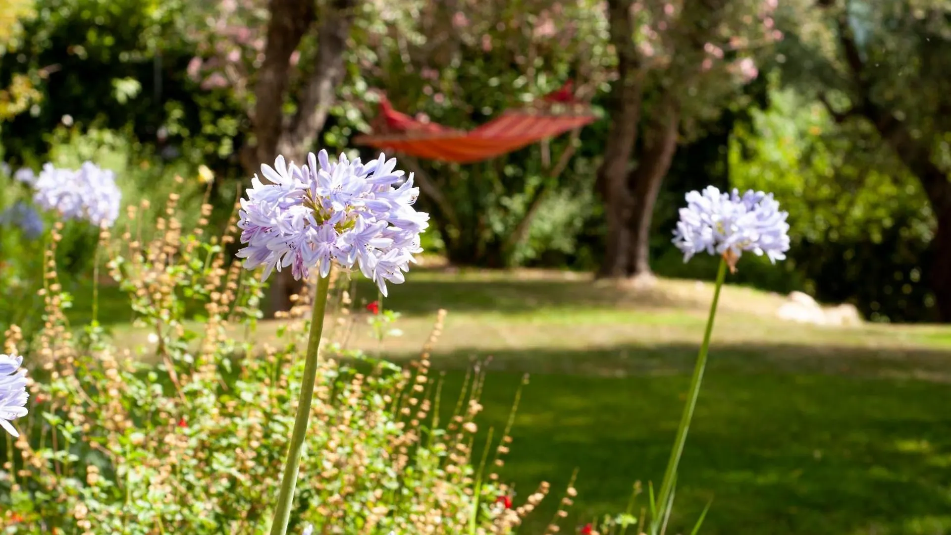 Charm, Luxury, Stunning Views, Villa With Pool Le Bar-sur-Loup 0*,