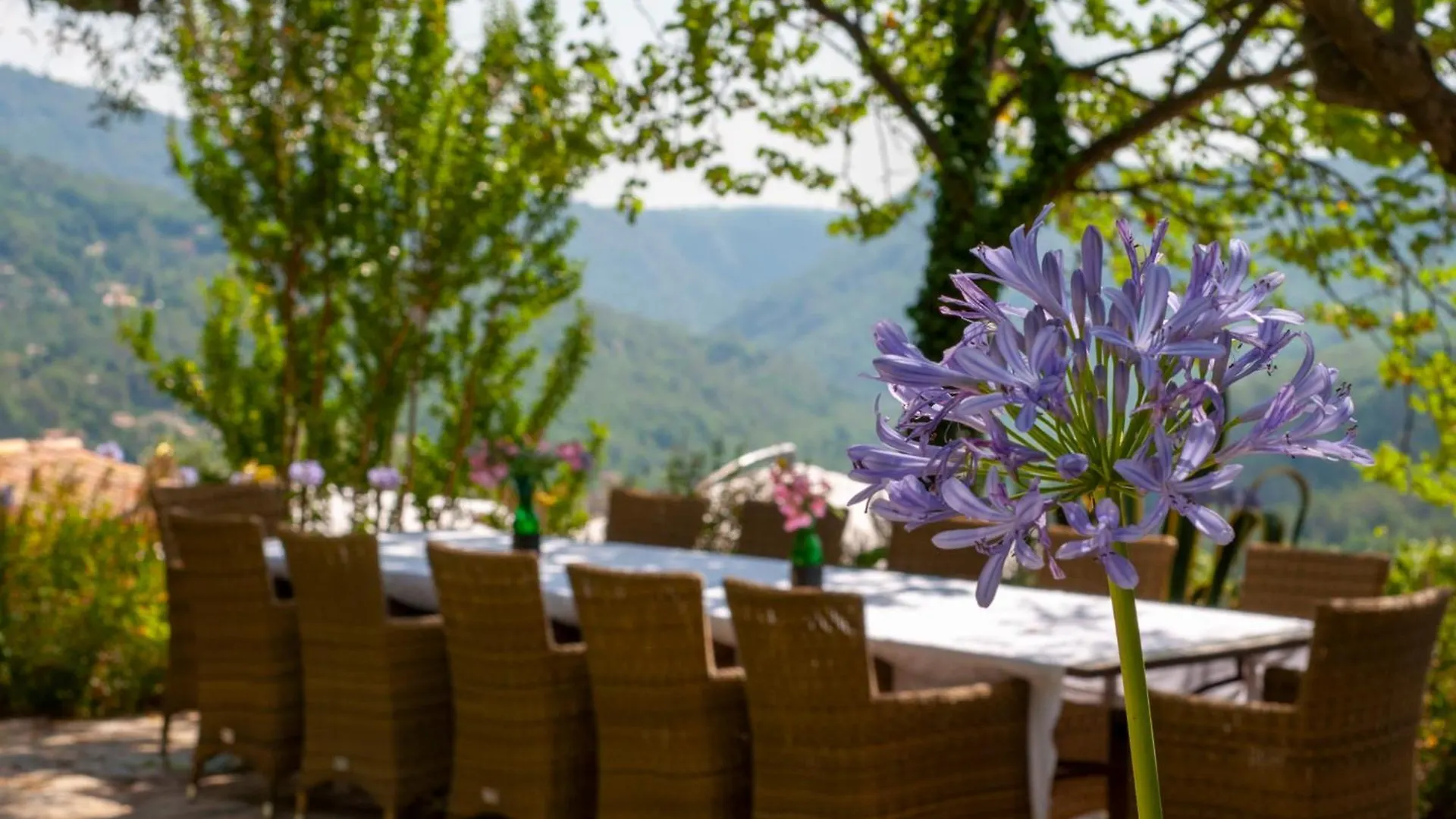 Charm, Luxury, Stunning Views, Villa With Pool Le Bar-sur-Loup